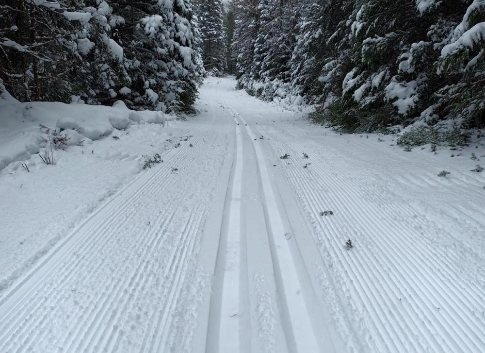 A groomed ski trail with set tracks on freshly fallen snow.