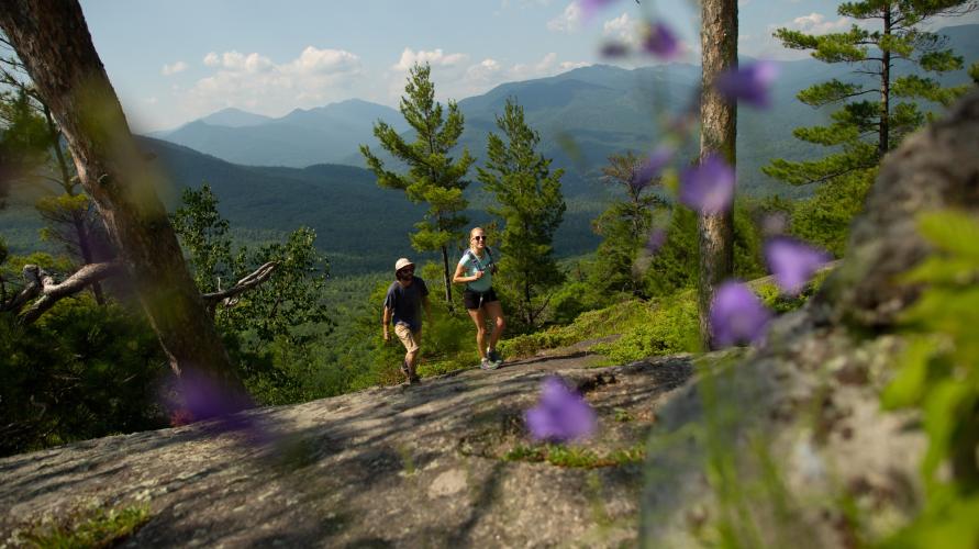 Two hikers walk past colorful purple flowers