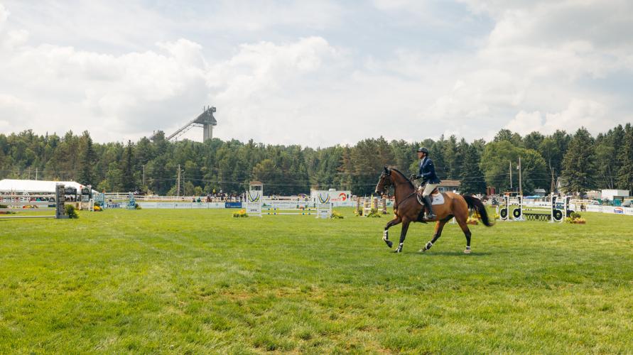 A horse gallops in front of ski jumps in a large green field