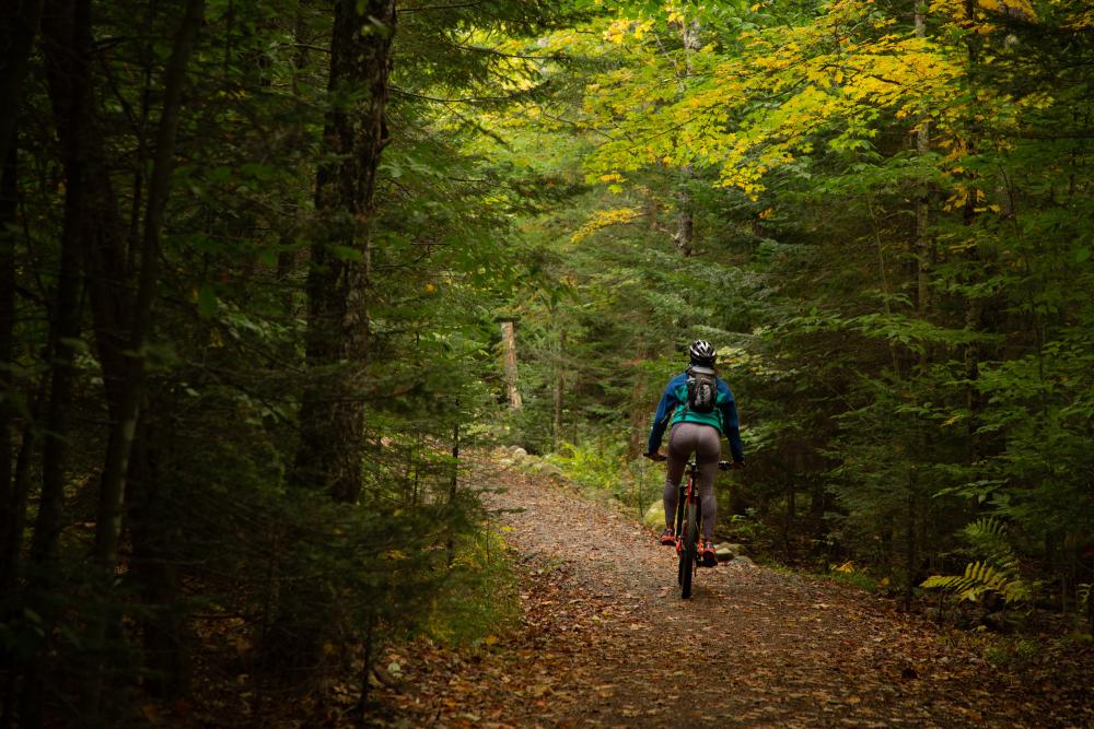 A woman rides a bike on a quiet autumn path in the woods.