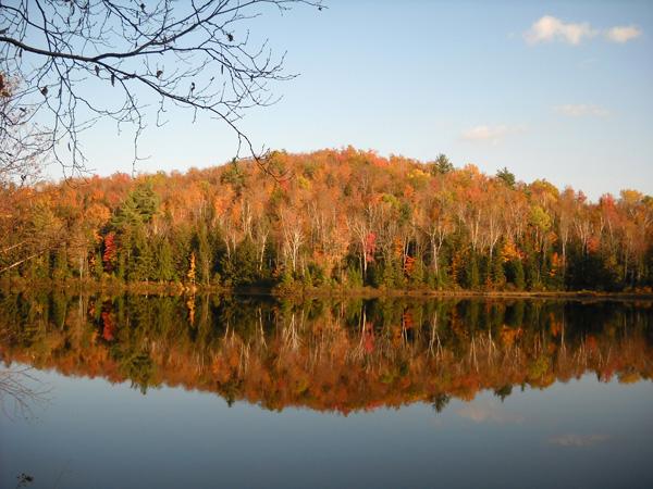Looking forward: a picture from fall 2011