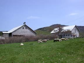 North Country School Farm