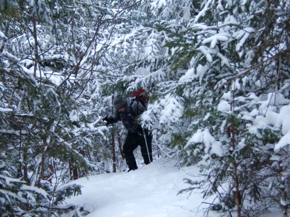 Snowshoeing up the Fire Warden Trail