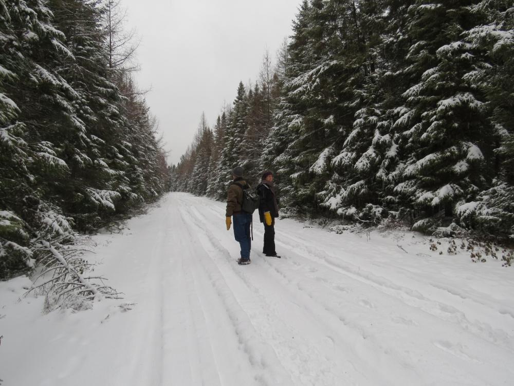 John & Terese Hart listening for birds on Bigelow Road