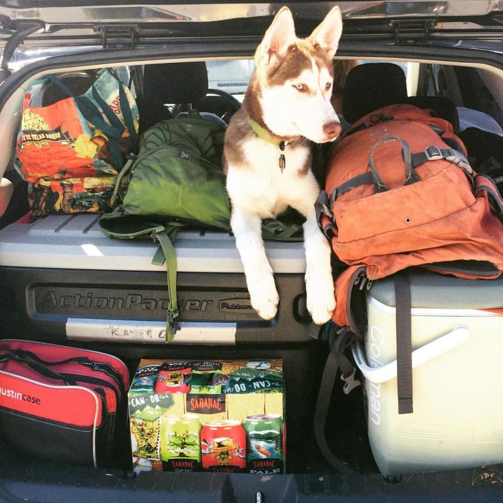 Shoka double checking that the car was packed.