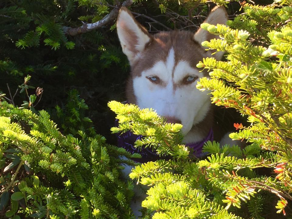 She found some shade from the sun for a quick break along the trail.