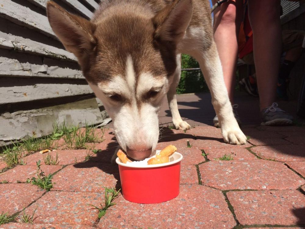 There wasn't a lick of ice cream left. There wasn't a lick of ice cream left.