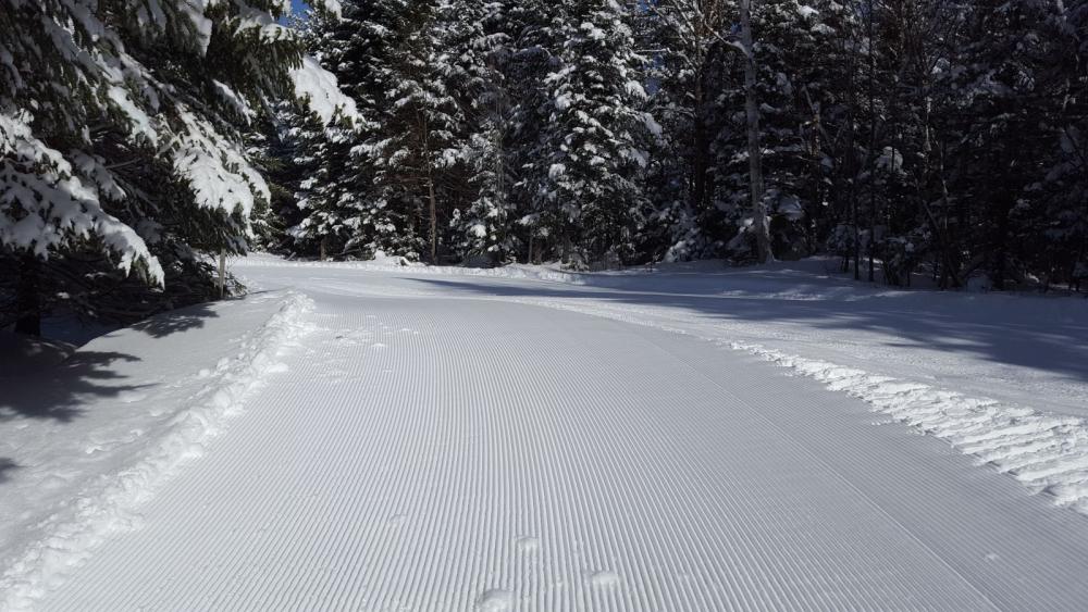 Perfect conditions! Perfect conditions!