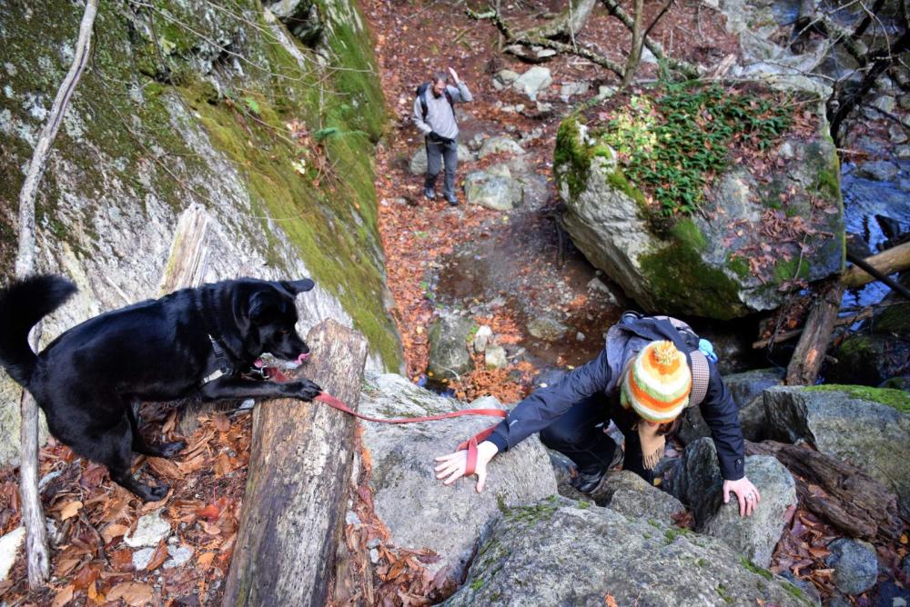 There are several steep sections in Deer Brook Gorge. There are several steep sections in Deer Brook Gorge.