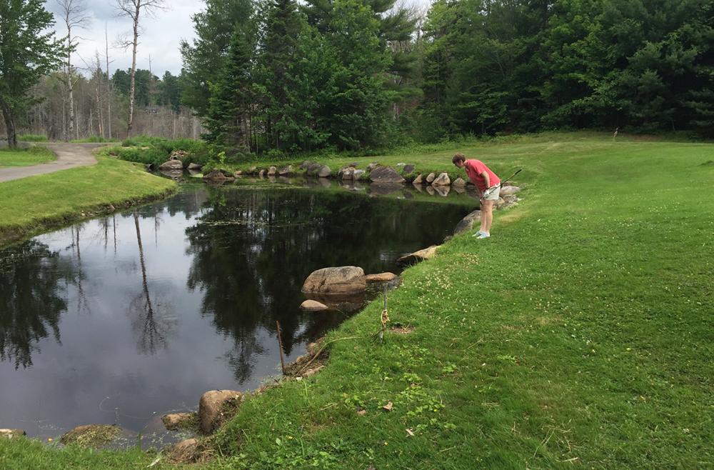 This pond is a magnet for golf balls. This pond is a magnet for golf balls.