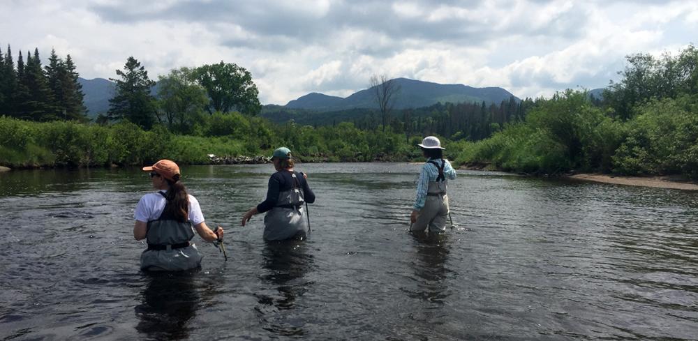 Walking with the current in the Ausable River.