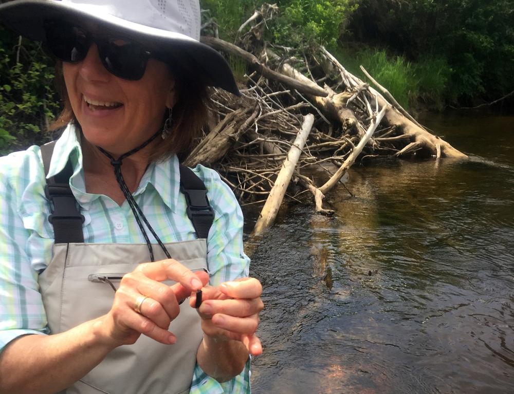 Helene shows us that this stick found under water is actually an insect. Helene shows us that this stick found under water is actually an insect.