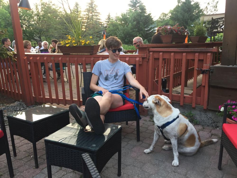 Outdoor dining with canine friends