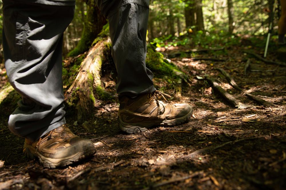 Hiking boots in the Adirondack forest.