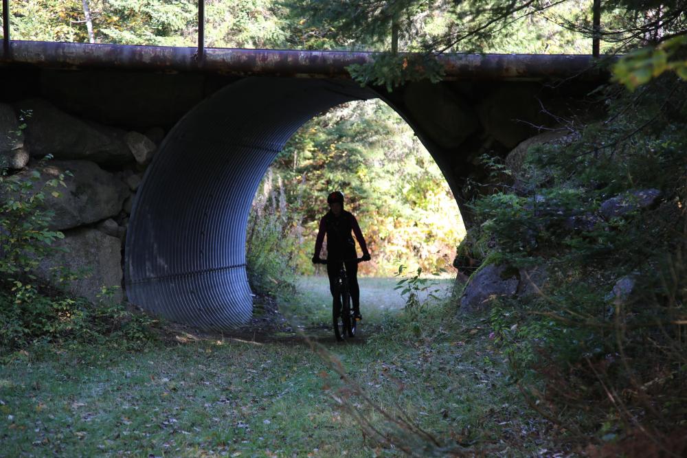 A biker rides under a bridge