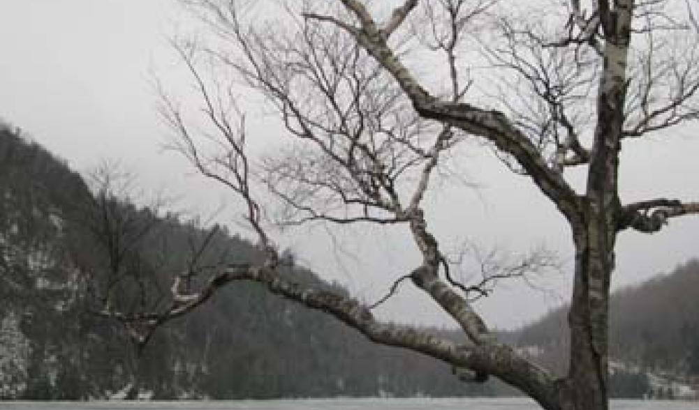 Cascade lake in winter
