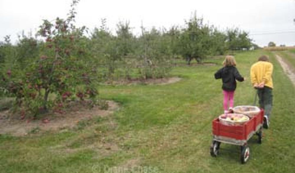 Applejacks Orchard wagon with kids