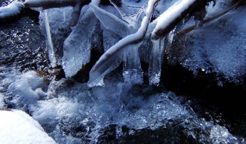 Ice formations in the brook