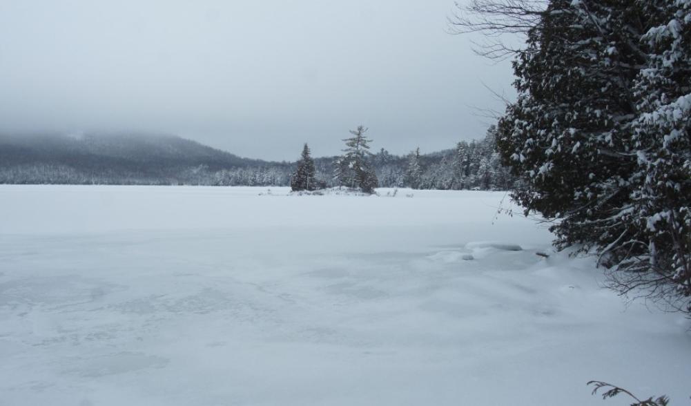 McKenzie Pond - snow