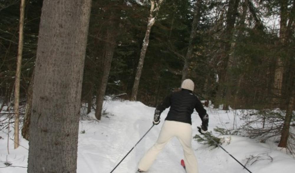 A skier heading downhill on the Jackrabbit Trail