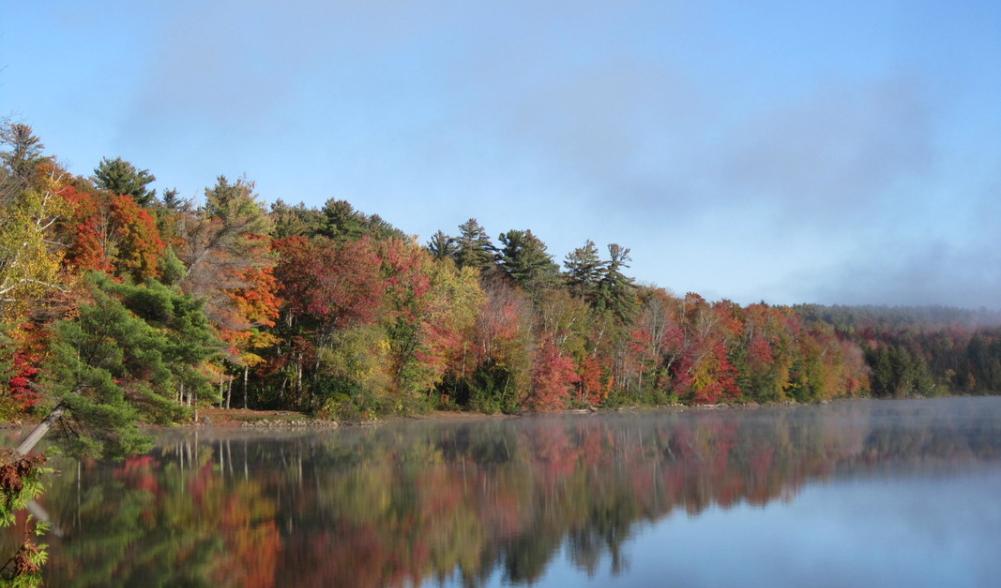 The silverly backdrop of trees whose leaves drop early only enhances the color of those still blazing in this shot of Lincoln Pond.