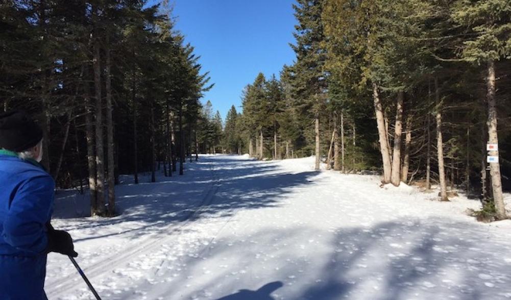 Groomed trails and signage but a much quieter, slower, more contemplative snow experience.