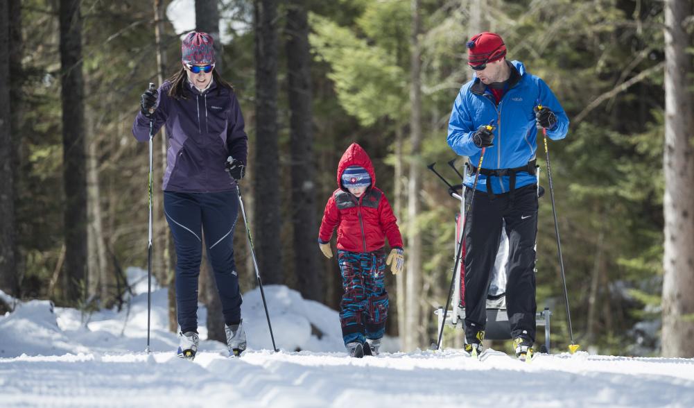 Two adults and a child cross-country ski