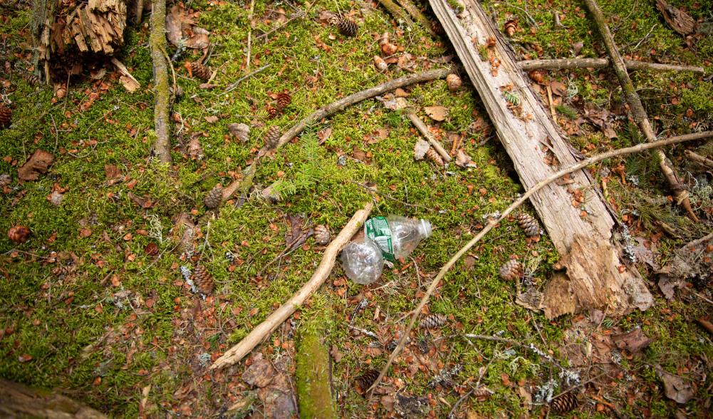 An empty water bottle thrown on the forest floor.