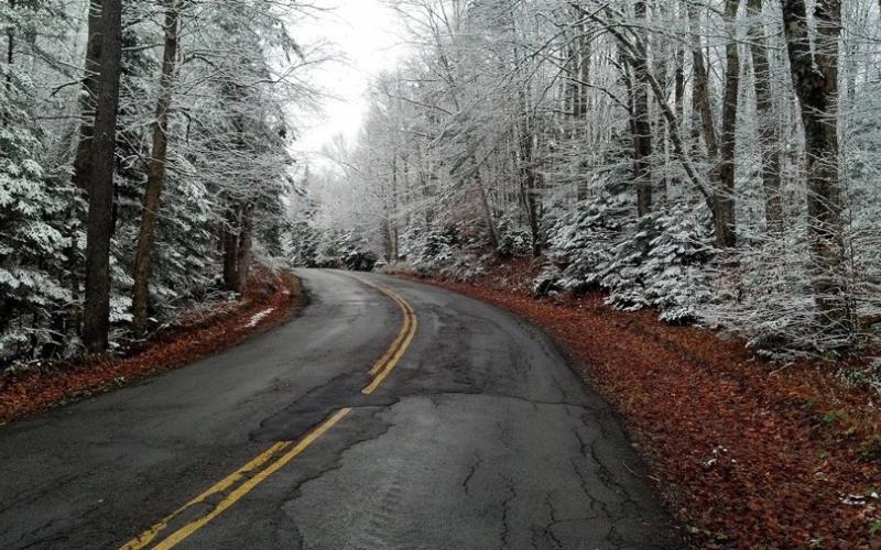 A wintry view of trees on either side of a road