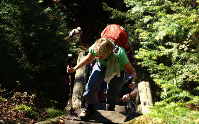 Trail builders have built in some help for this challenging traverse.