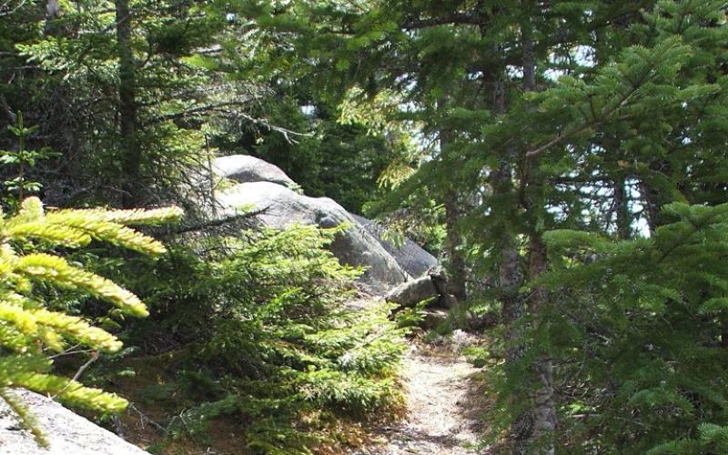 Nun-Da-Ga-O Ridge trails are known for fine primitive hiking.