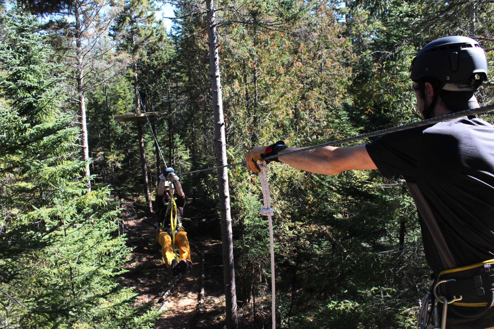 Zip lines provide a smooth ride through the treetops.