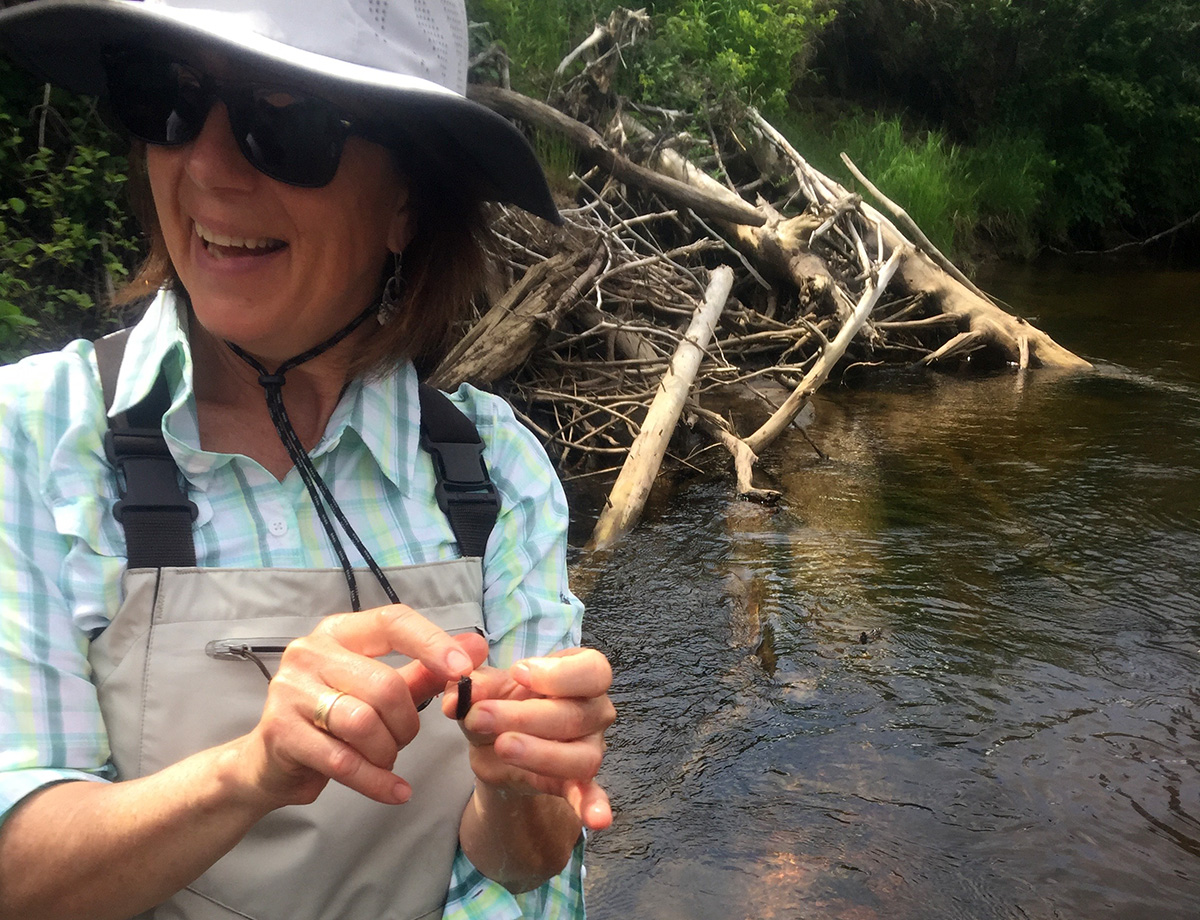 Helene shows us that this stick found under water is actually an insect.