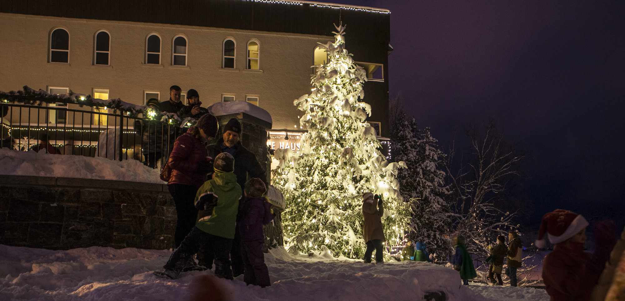 Children and adults play in the snow in front of a large tree covered in snow and white lights.