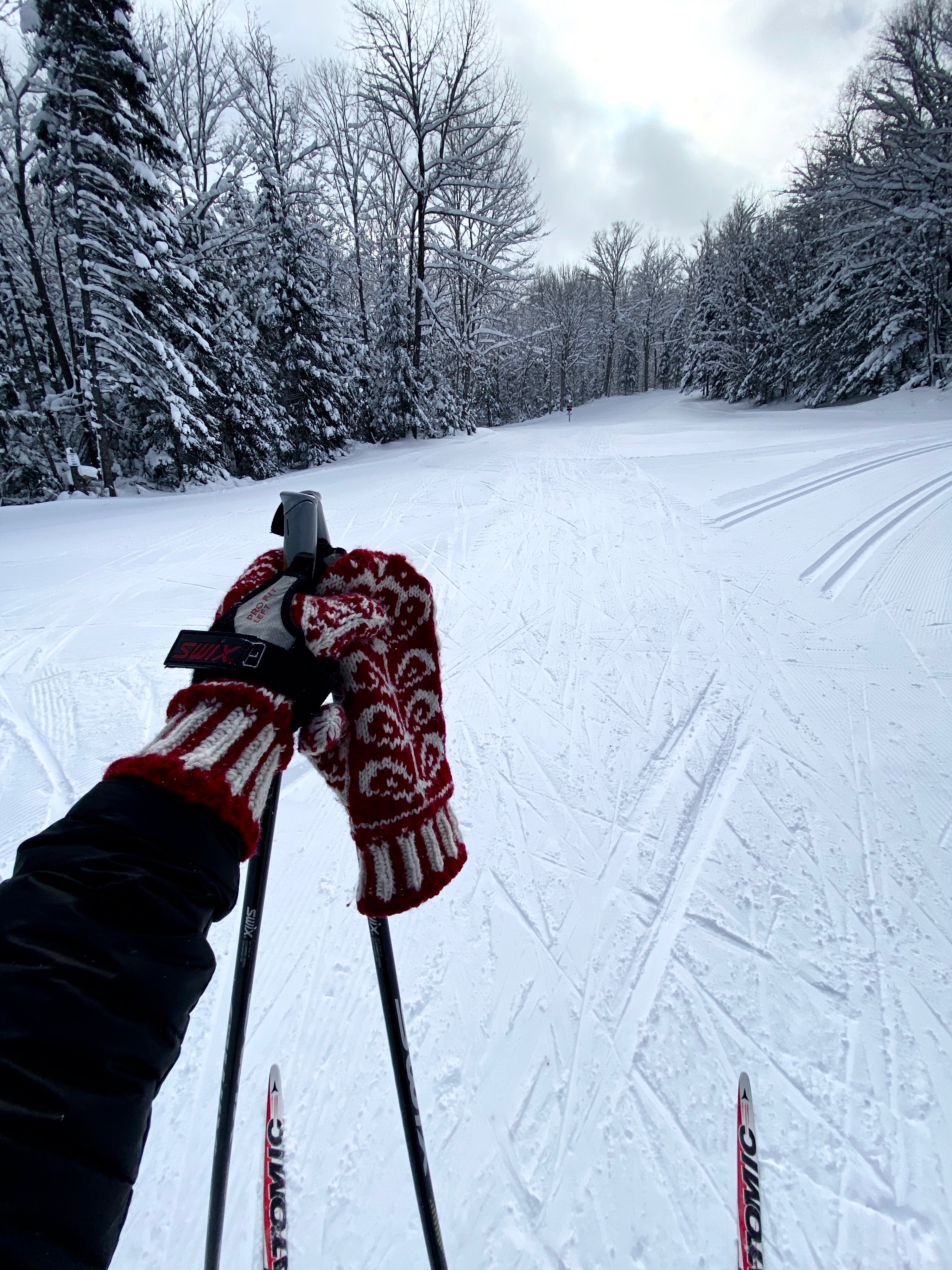 View of cross-country ski trail in winter.
