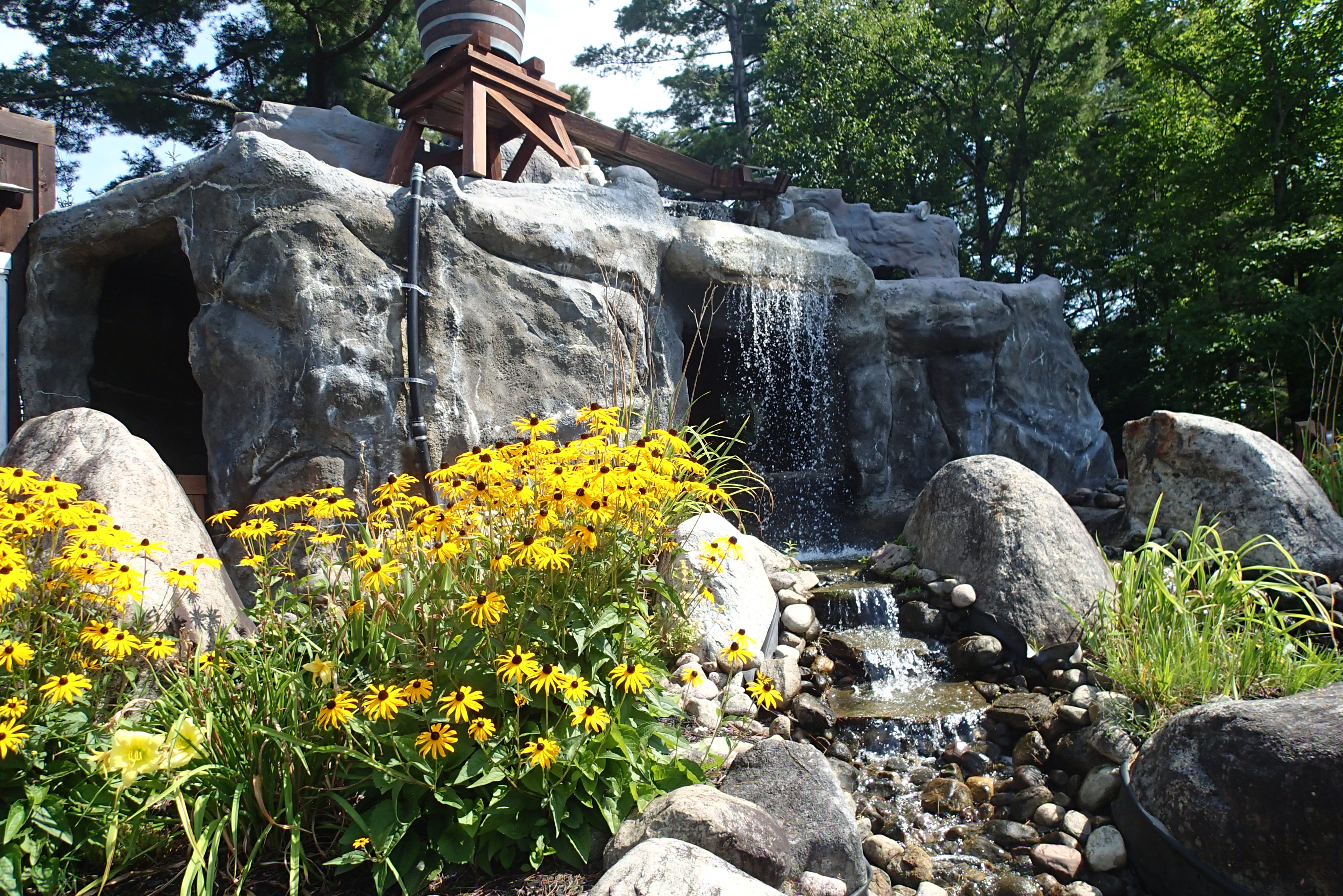 Black-eyed susan flowers in front of a rocky waterfall feature on a mini golf course.