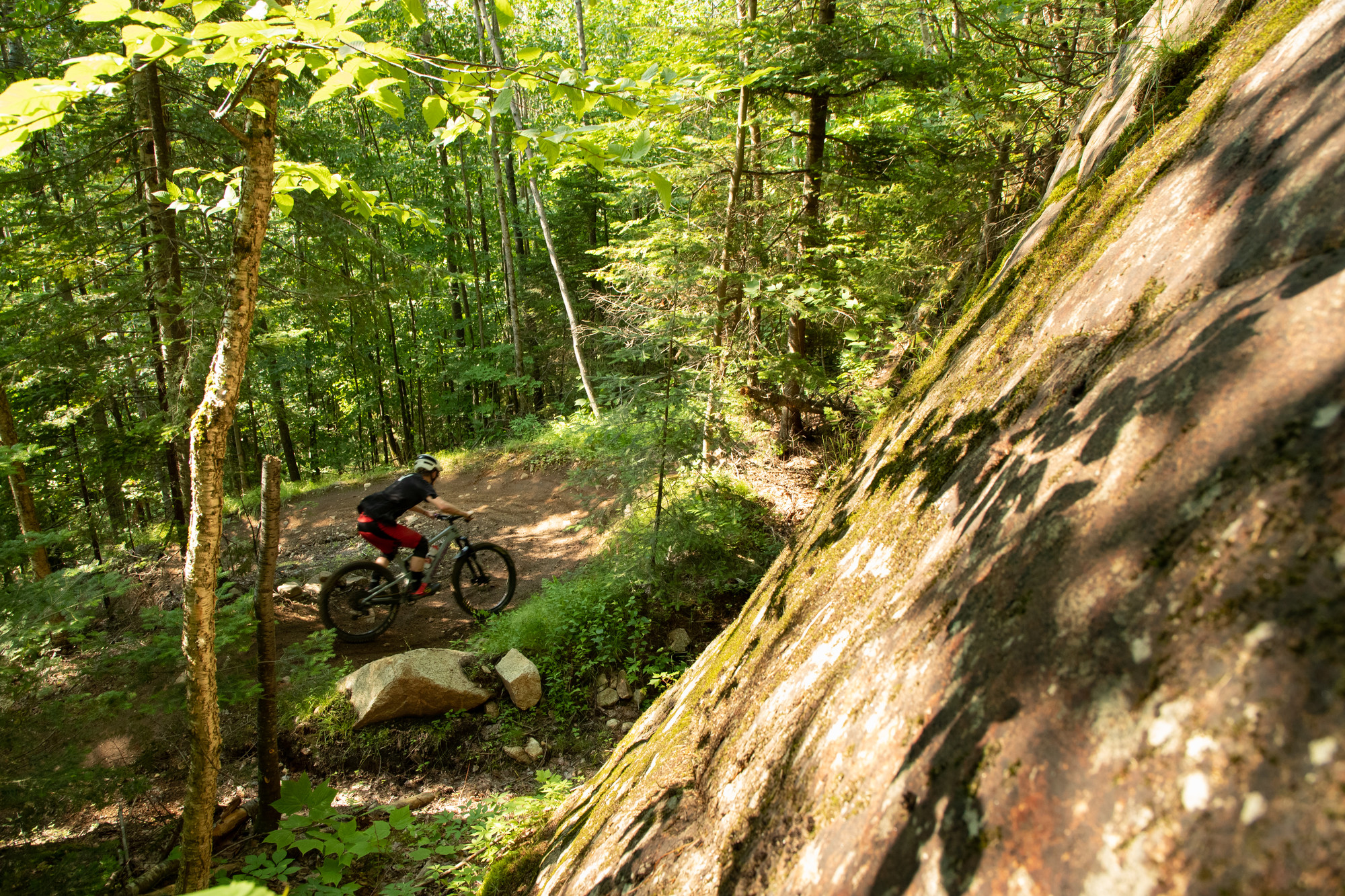 A man rides his mountain bike on a trail through the woods