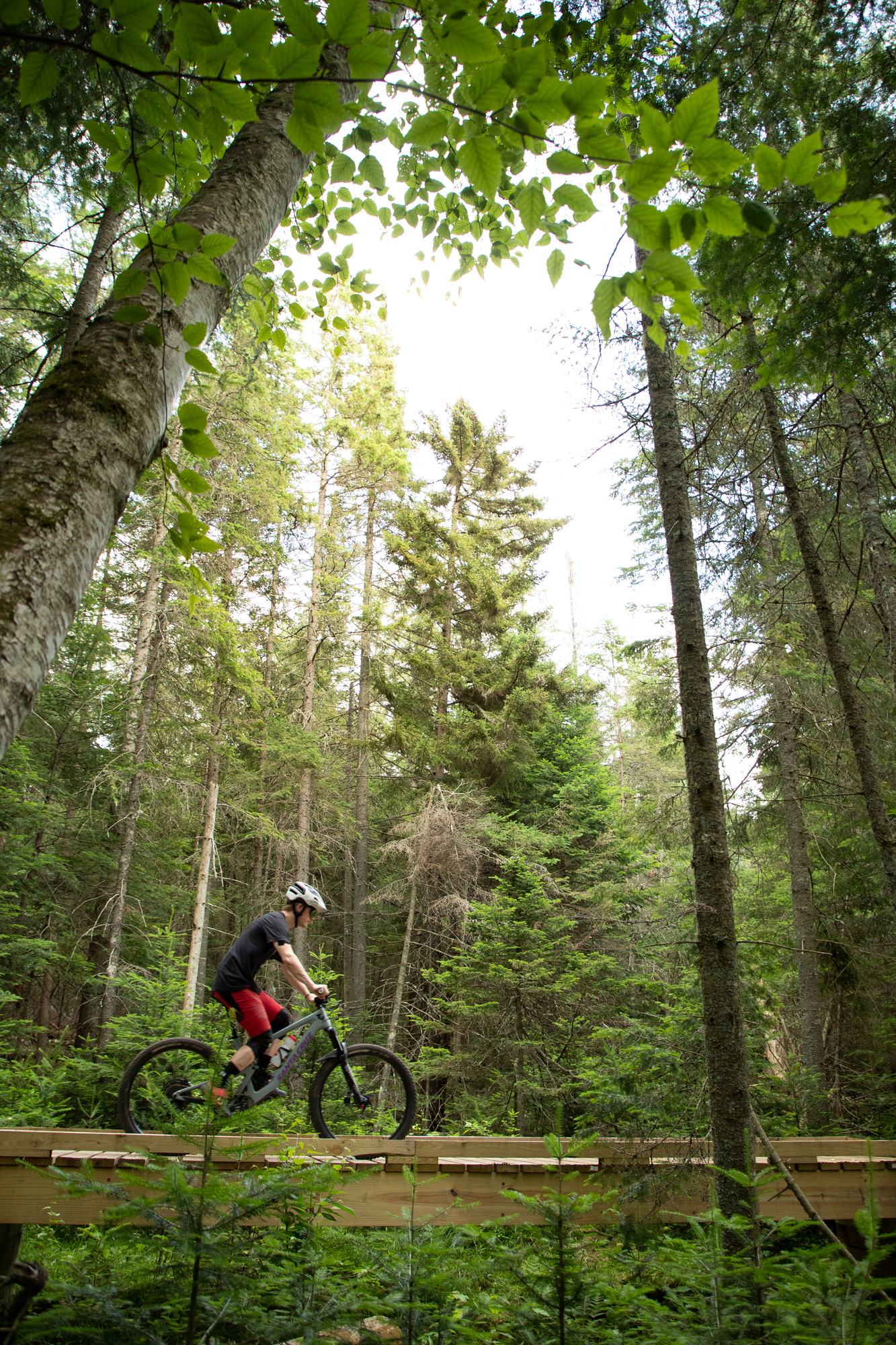 A man rides his mountain bike on a trail through the woods