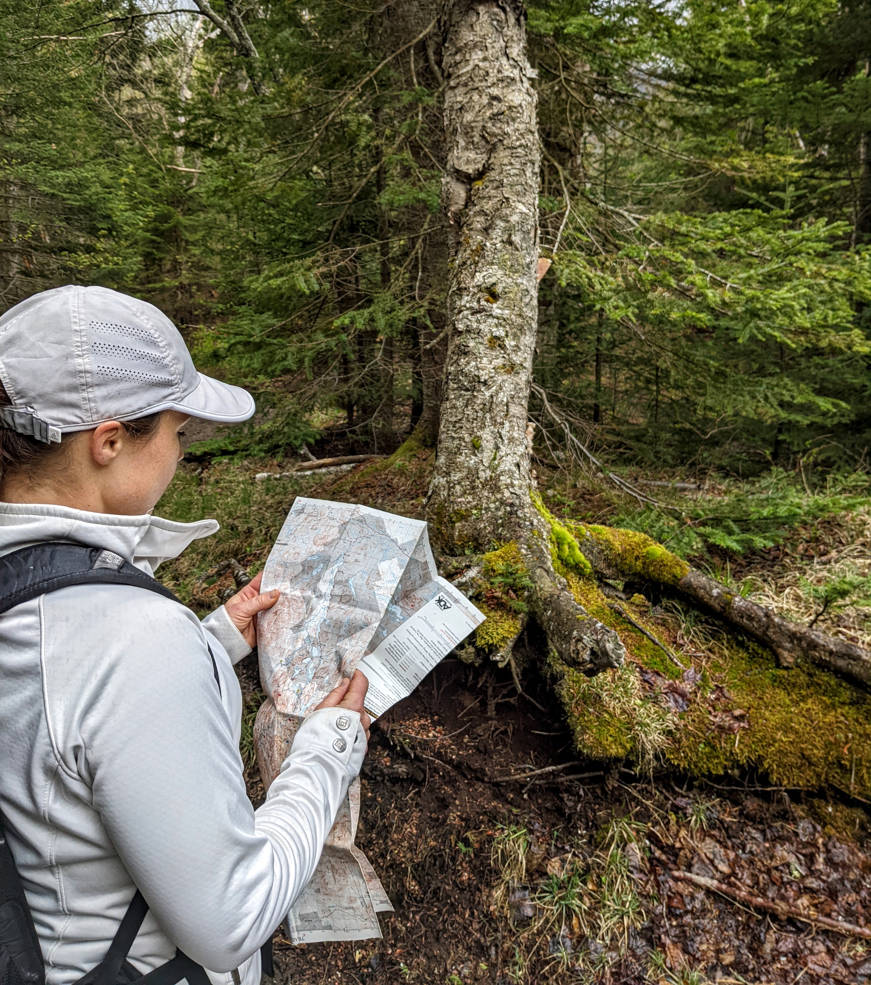 A woman reads a map on a trail.