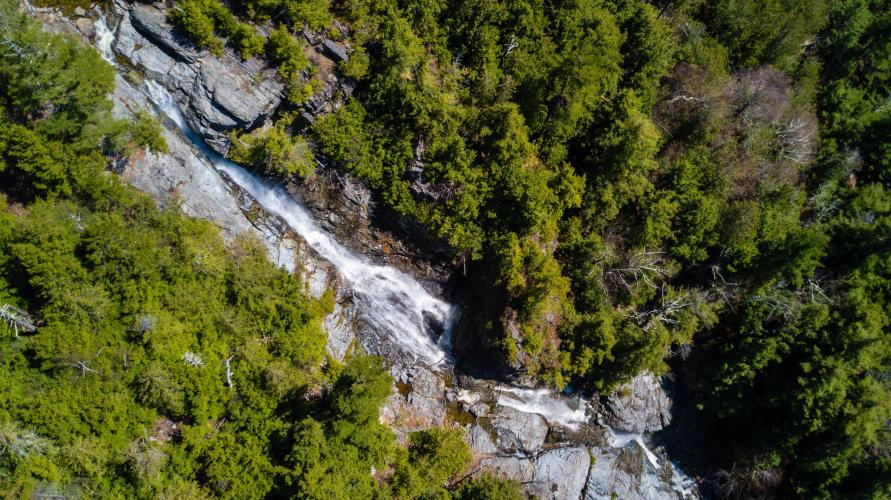 An aerial shot of a thin waterfall cutting through evergreen trees.