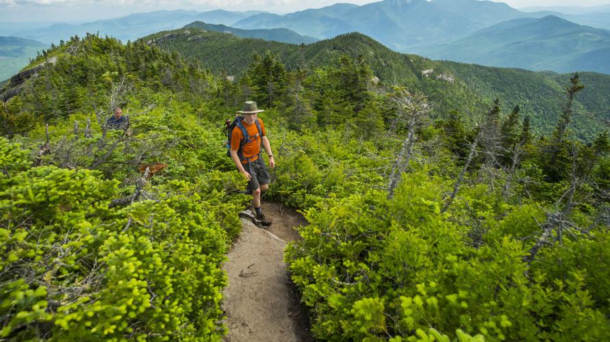 Man in orange shirt wearing hat and hiking backpack walks on narrow bare rock trail on summit surrounded by alpine vegetation
