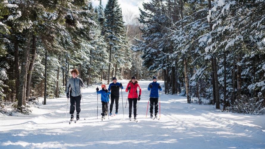 A group of people xc ski down a wide trail.