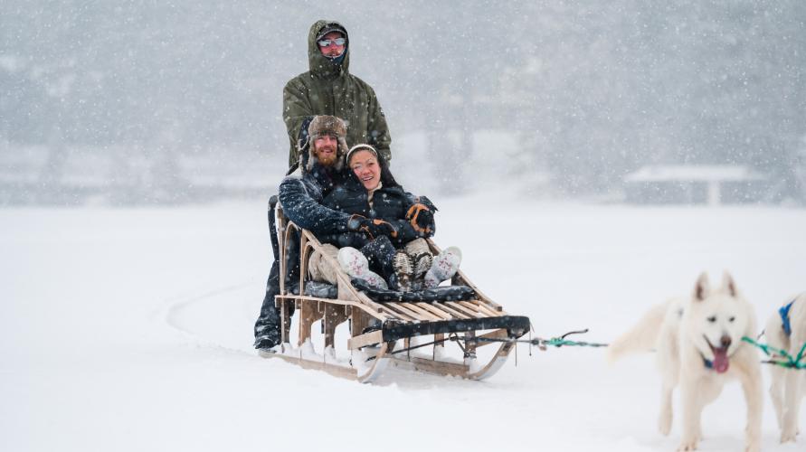 A man and woman ride on a dogsled pulled by a team of huskies. 