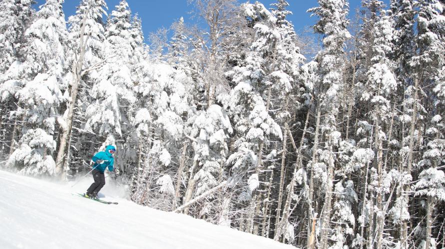 A skier on a powder day