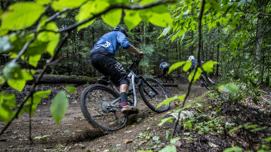 A mountain biker riding through the green forest