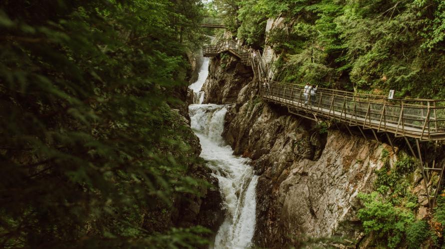 A rocky gorge in summer surrounded by evergreen trees with a wooden bridge along it and rushing water below. 