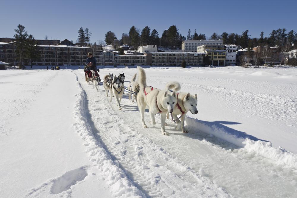 Dogsleds pull riders on Mirror Lake in Lake Placid