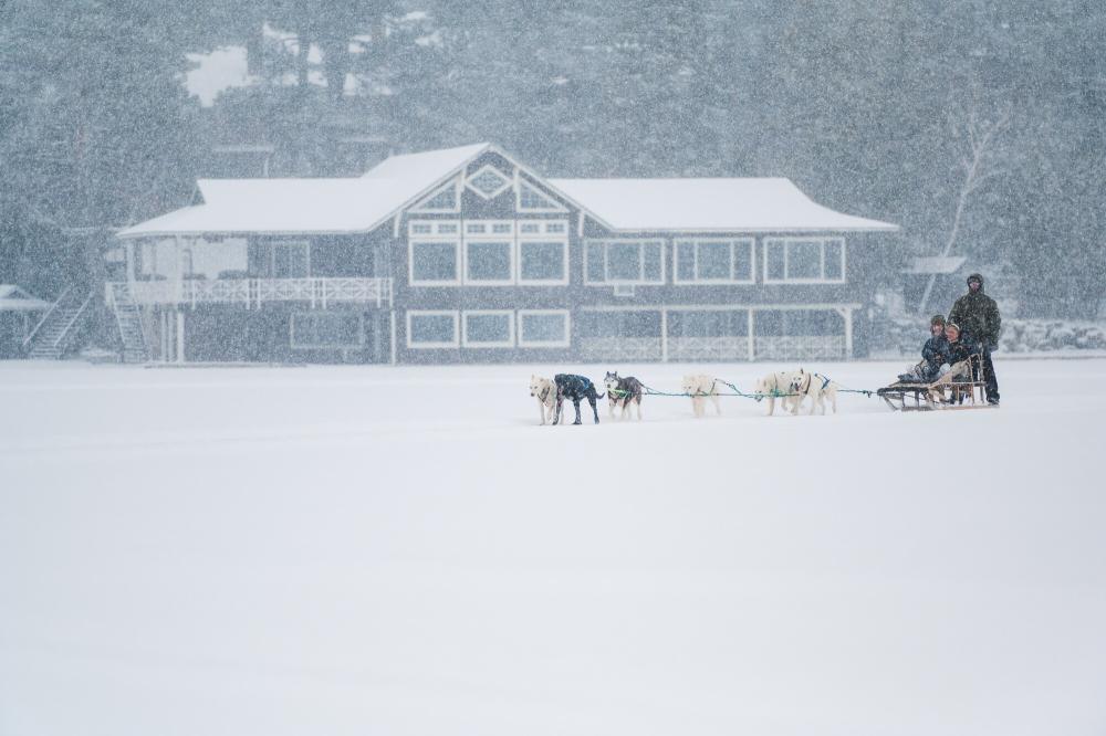 Couple enjoys a romantic dog sled ride during a snowstorm in Lake Placid.