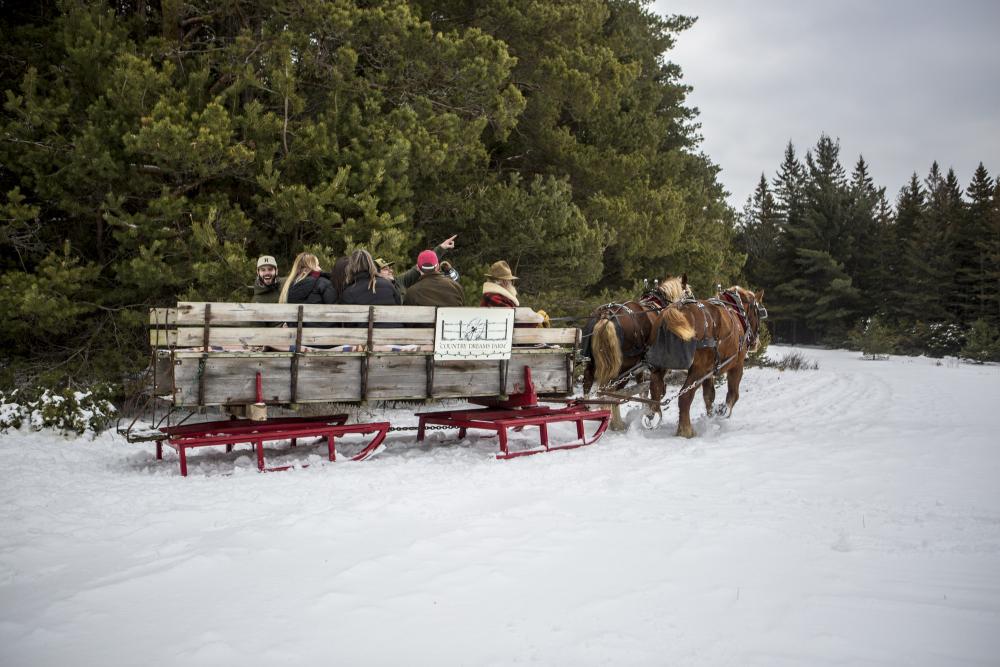 Horses pull a sleigh of passengers near the woods in Lake Placid.