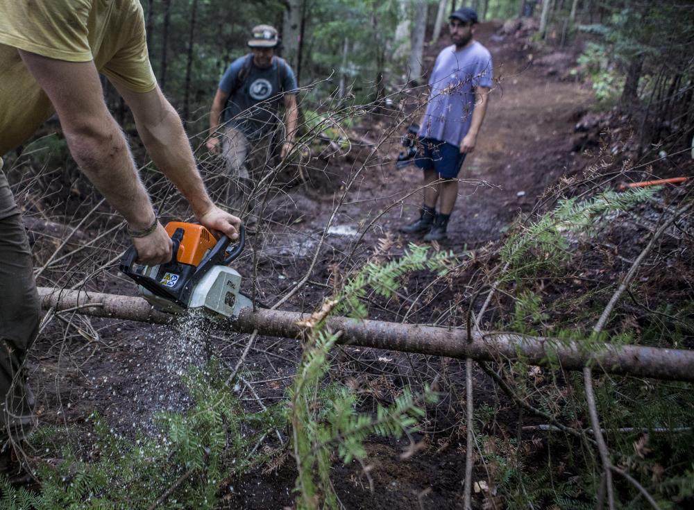 A man saws a tree down in the woods.